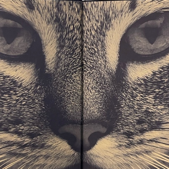 David Taylor Cat The Ultimate Cat Book Poshmark